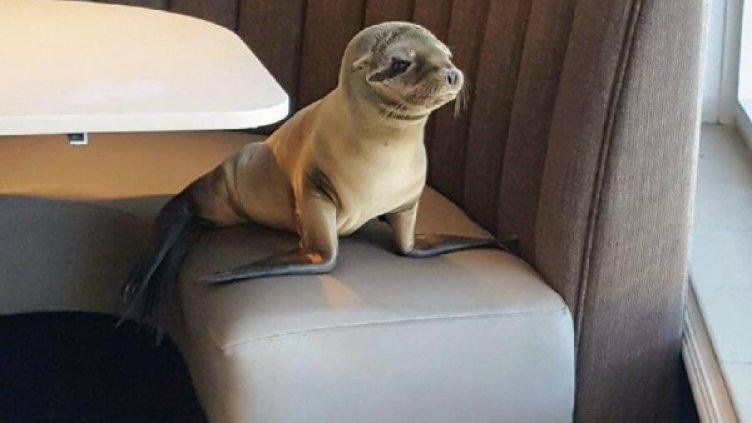 Снимка: Facebook