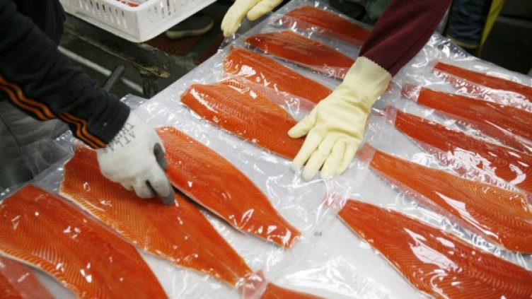 Снимка: Reuters, архив