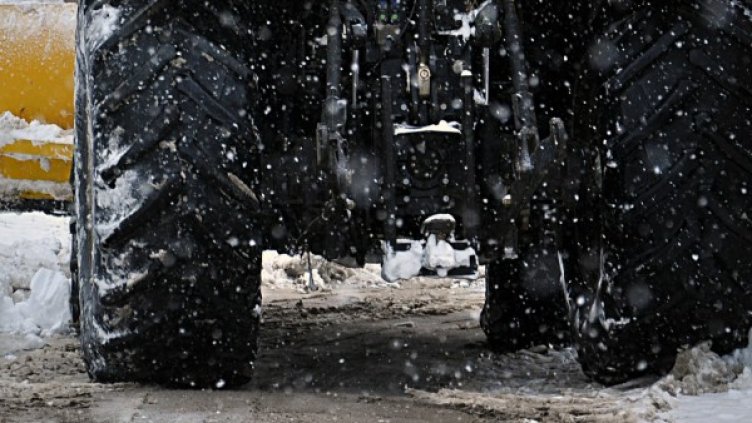 Снимка: БТА, архив