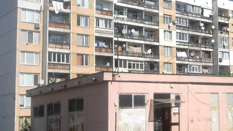 Снимка: Булфото, архив