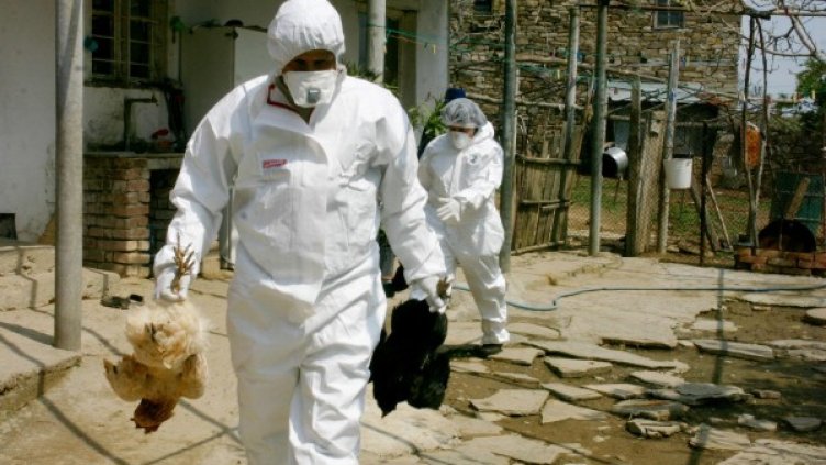 Снимка: Булфото