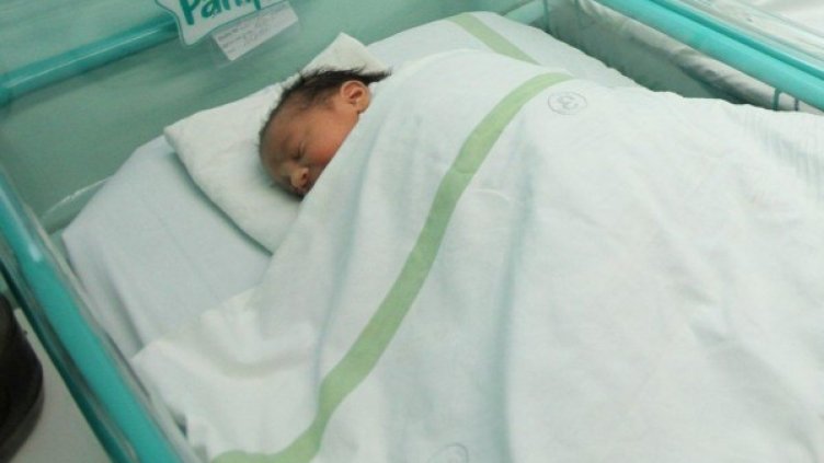 Снимка: Булфото, архив