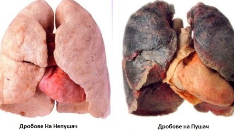 Снимка: Facebook