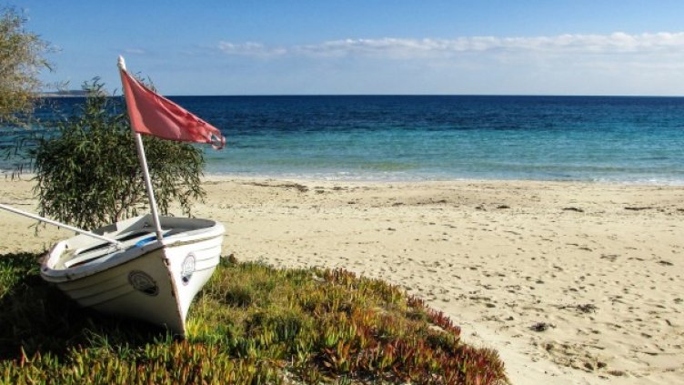 снимка: pixabay