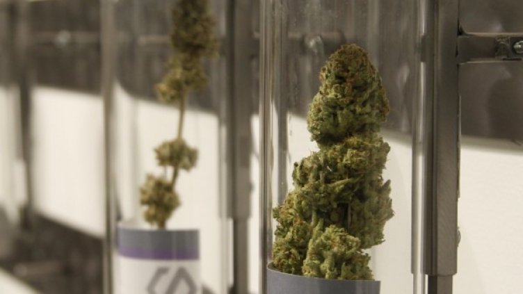 Снимка: архив Reuters