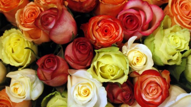 Снимка: Reuters