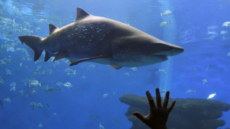 Снимка: архив, Reuters