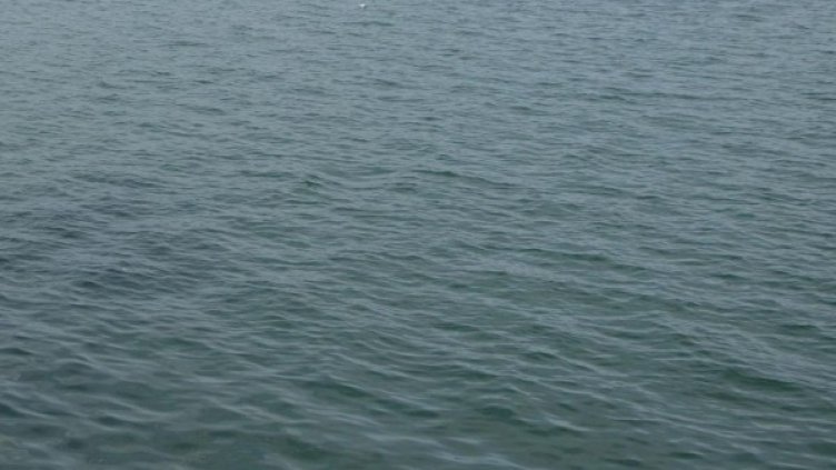 Снимка: Булфото