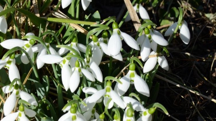 Снимка: БТА, архив