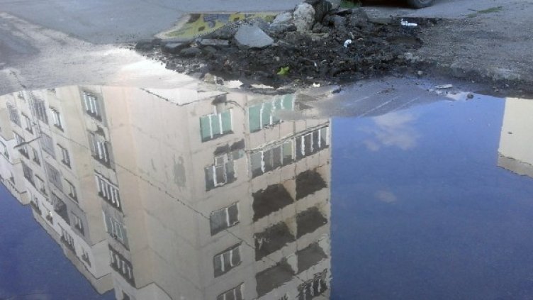 Снимка: Bulphoto, архив