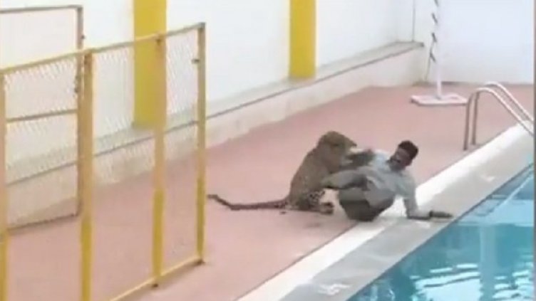 Снимка: YouTube