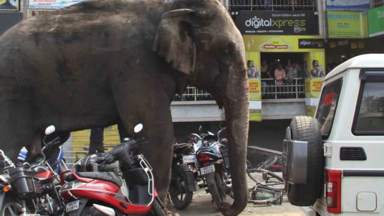 Снимка: БТА, архив