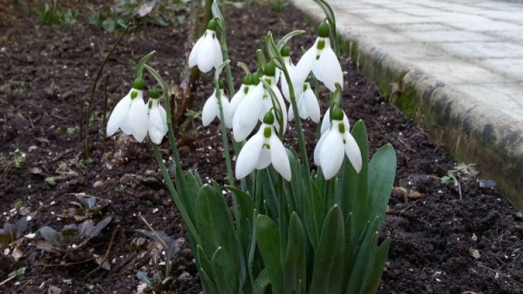 Снимка: Булфото, архив