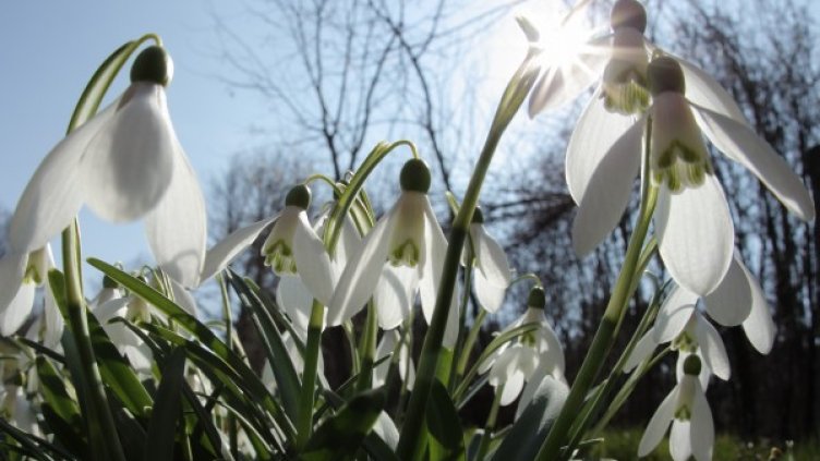 Снимка: архив Reuters