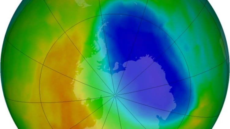 Снимка: Reuters, архив