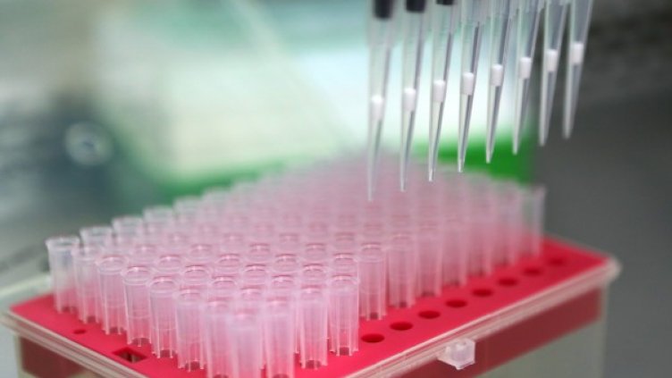 Снимка: Reuters, архив