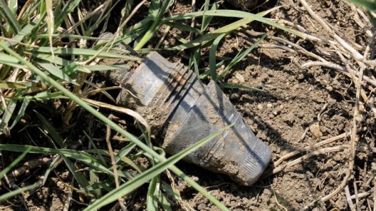 Снимка: Булфото, архив