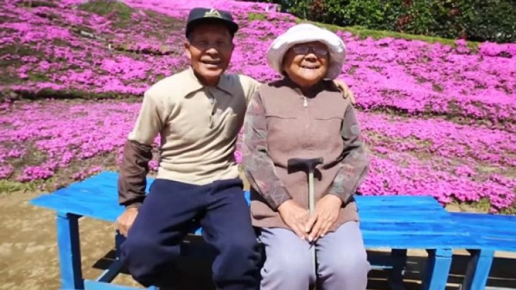 Обич от 3,3 кв. км – уникална история събира хиляди в Япония