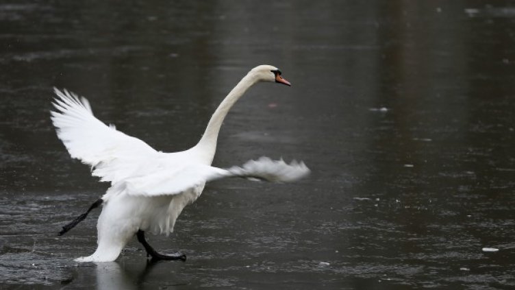 Снимка: Reuters, архив