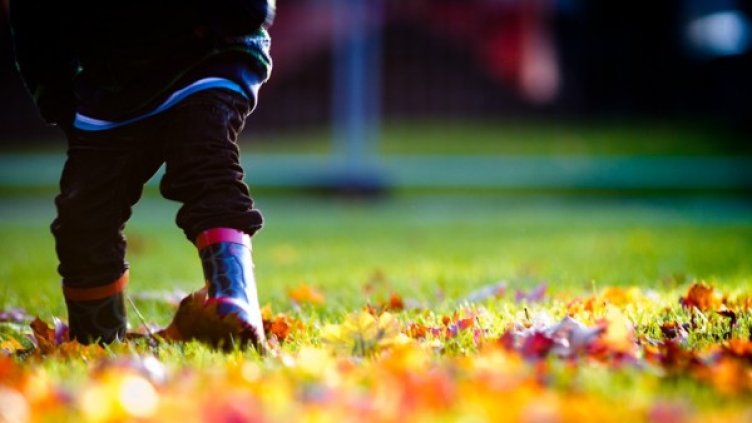 Снимка: flickr