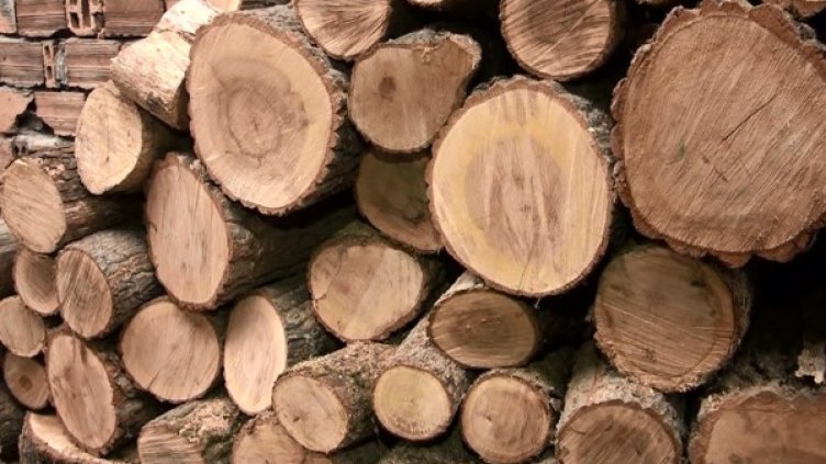 Снимка: bgonair.bg