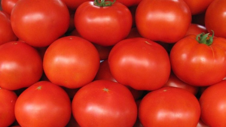 Снимка: Булфото, ахрив