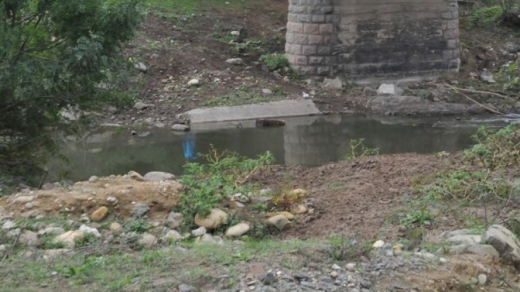 Снимка: Булфото