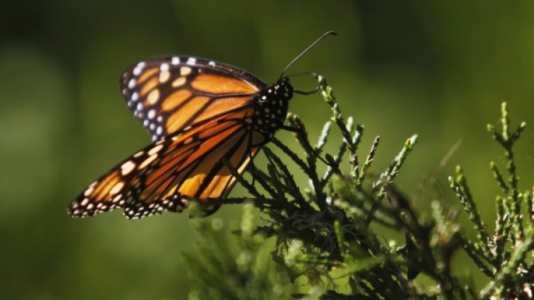 Снимка: архив, Reuters