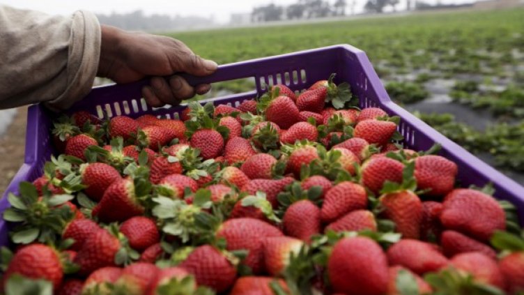 Снимка: Reuters, архив