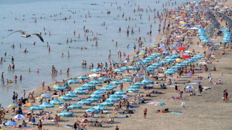 Снимка: Булфото, ахрив