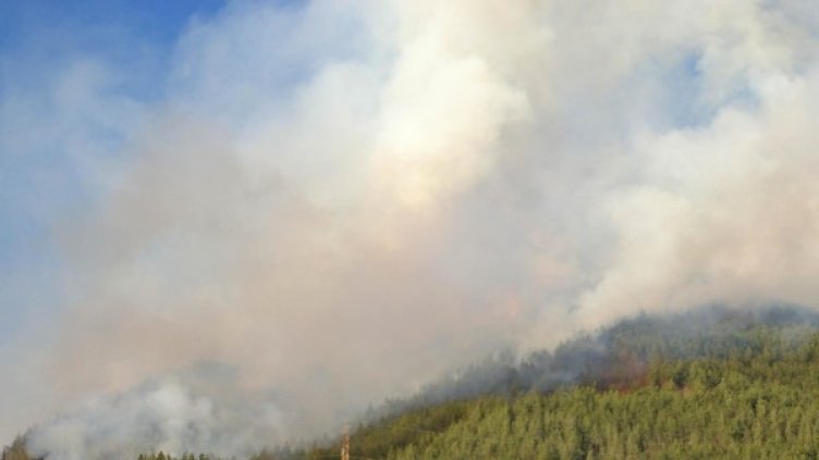 Снимка: Bulphoto, архив