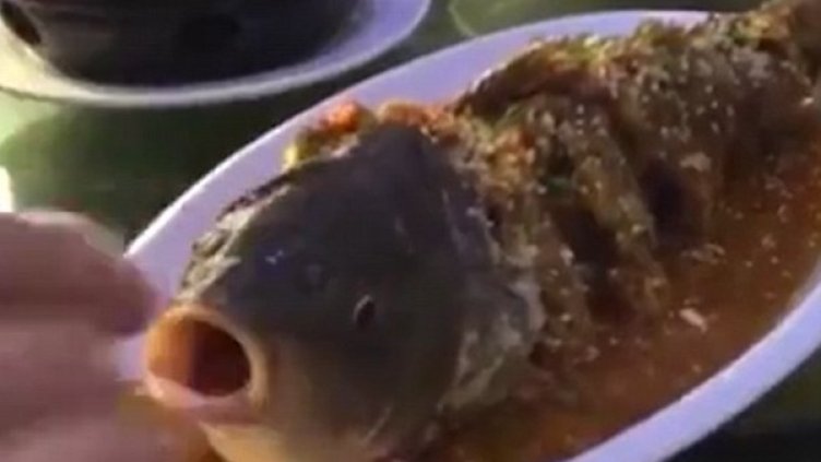 Снимка: кадър Youtube