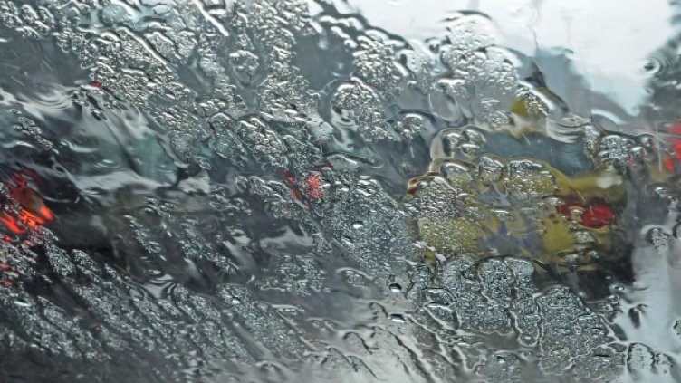 Снимка: архив, БулФото