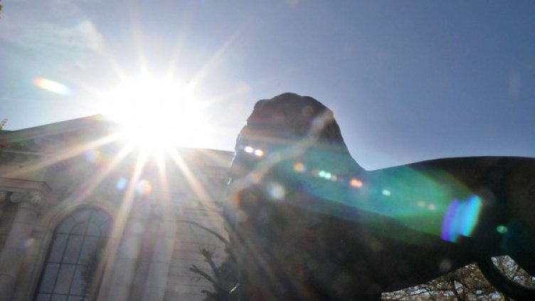 Снимка: архив Булфото