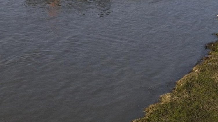 Снимка: Булфото