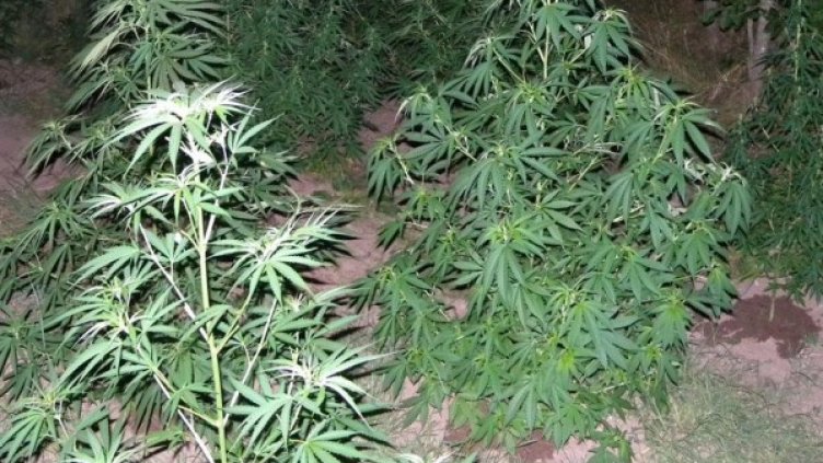 Архив: Булфото