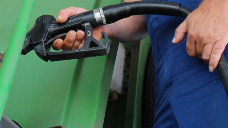 Снимка: архив, БулФото