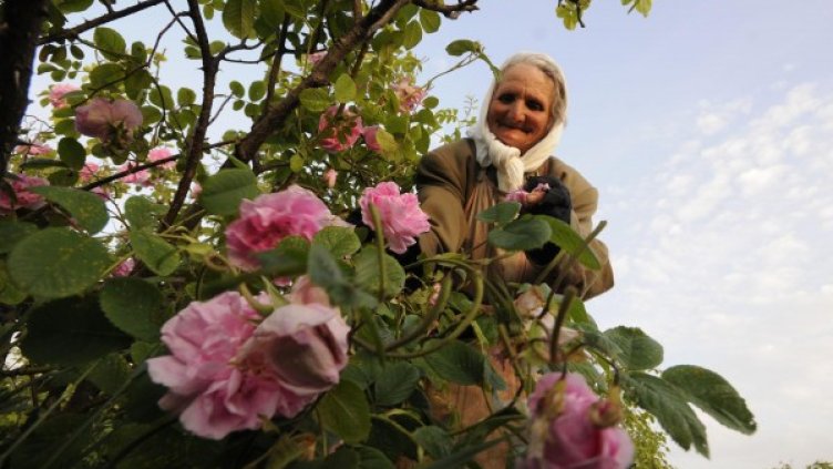 Снимка: архив, Булфото