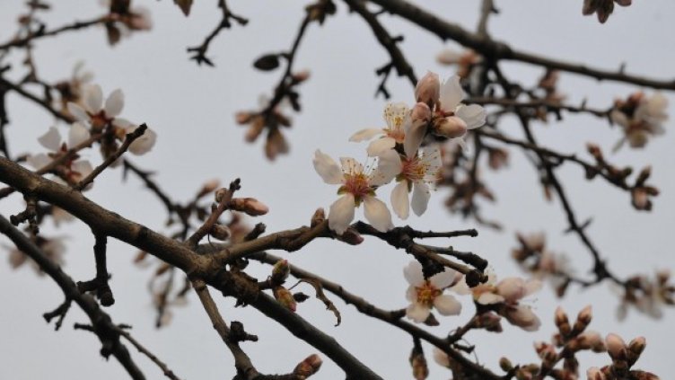 Снимка: Булфото, архив