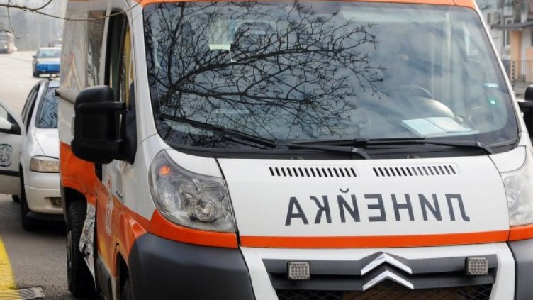 Снимка: Булфото, архив