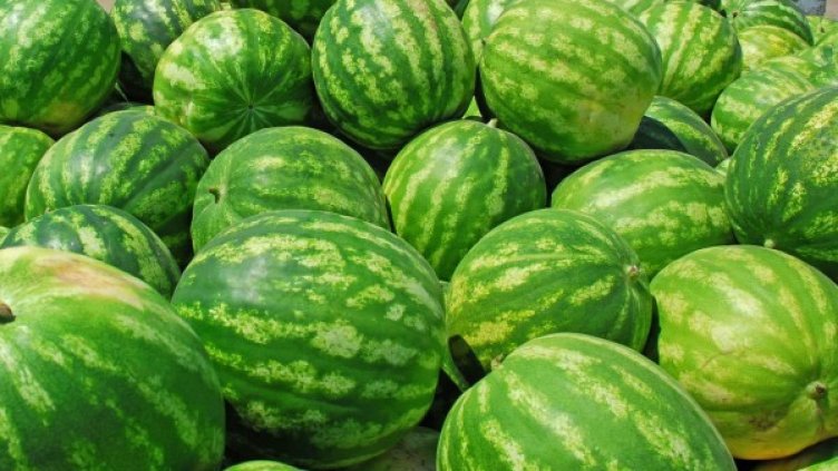 Снимка: Булфото, архив