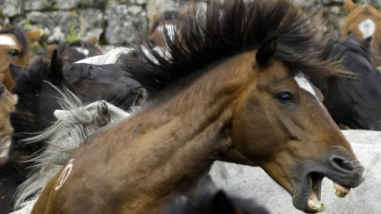 Снимка: Reuters, архив