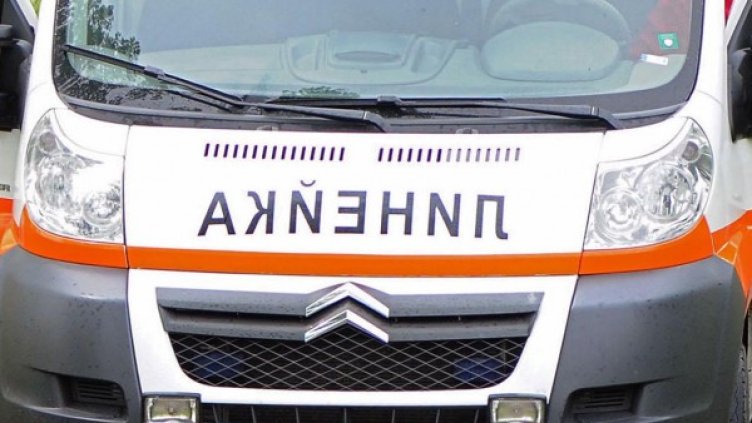 Снимка: Булфото, архив