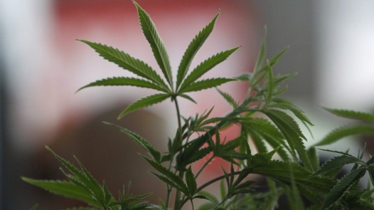 Снимка: Reuters, архив