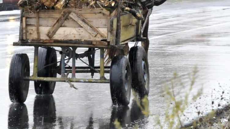 Снимка: Булфото