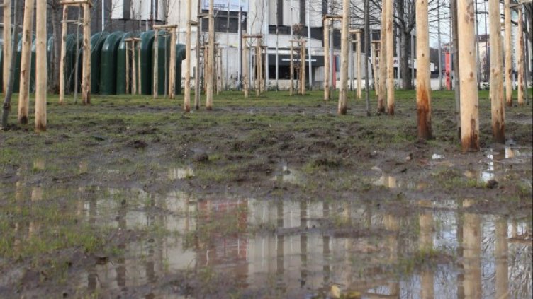 Снимка: Булфото