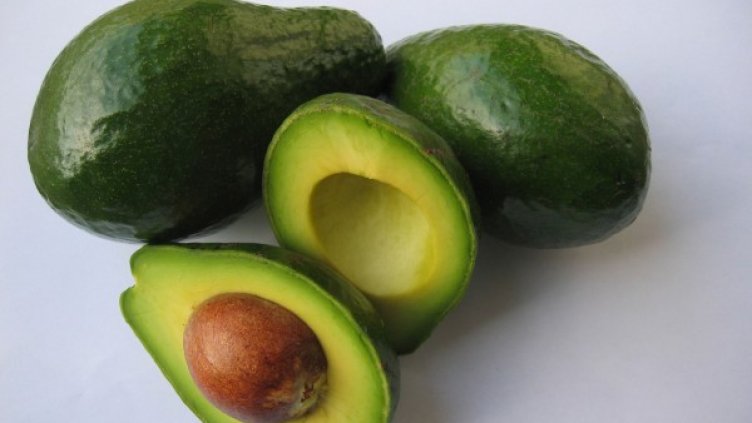 Снимка: freeimages