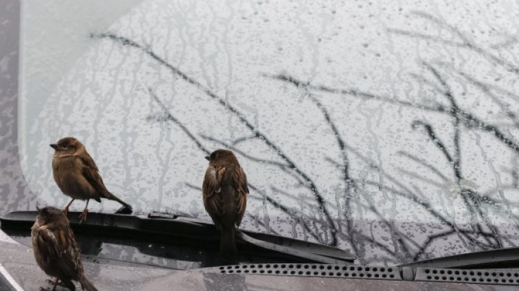 Снимка: Reuters, архив