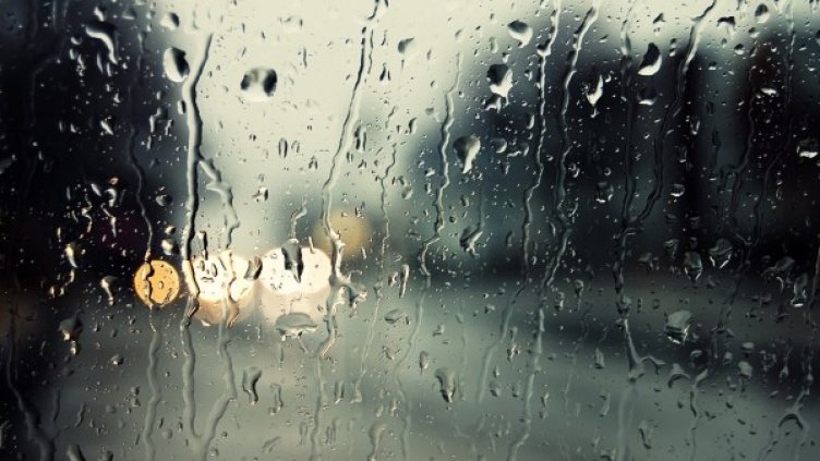 Снимка: flickr