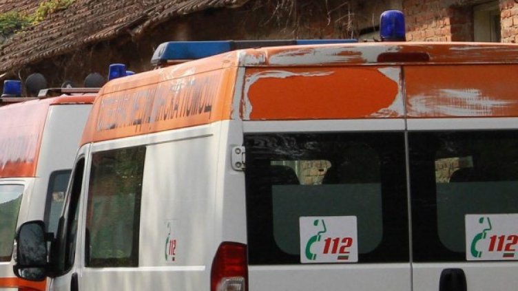 Снимка: Архив Булфото